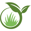 Albuquerque Lawn Clean Up