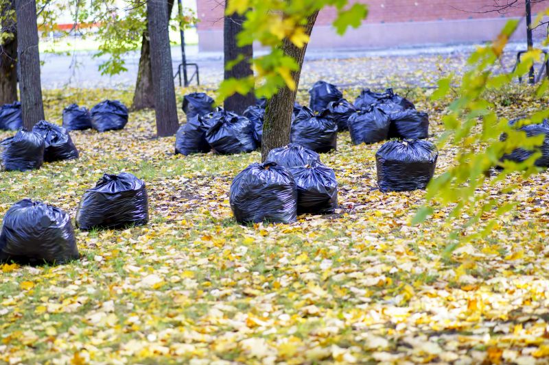 Leaf Collection in Bins