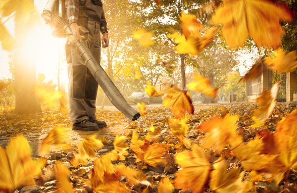 Cost of Leaf Blowing Service in Albuquerque