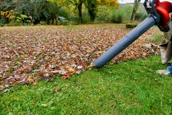 Cost of Leaf Vacuuming Service in Albuquerque