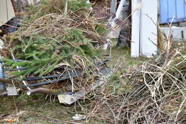 Cost of Yard Debris Removal in Albuquerque