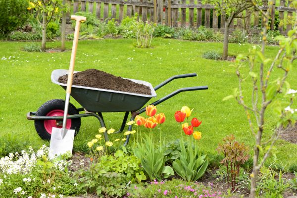 Cost of Spring Yard Cleanup in Albuquerque