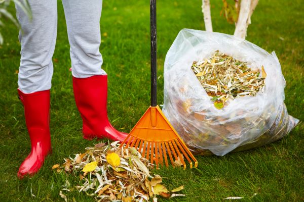 Cost of Leaf Disposal Service in Albuquerque