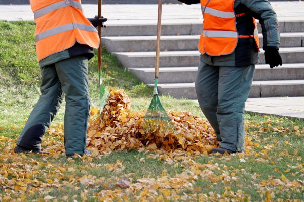 Cost of Leaf Hauling Service in Albuquerque