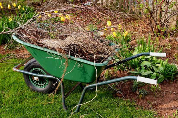 Cost of Lawn Waste Removal in Albuquerque